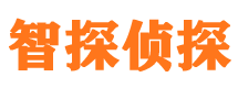 金寨市侦探调查公司